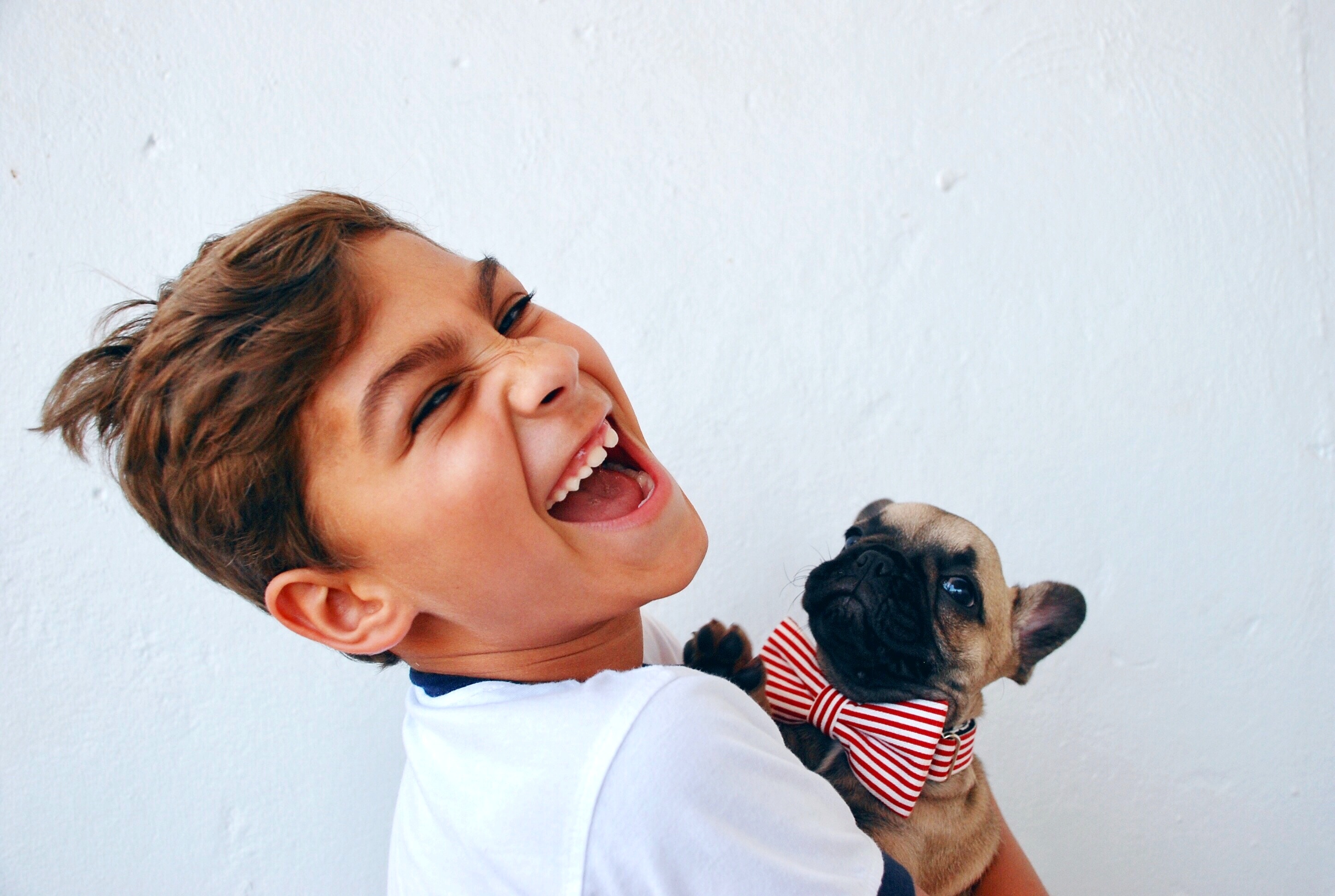 young boy in white shirt laughing with puppy wearing red bow tie