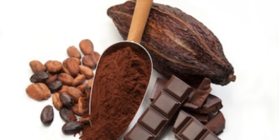 cocoa and chocolate on white background
