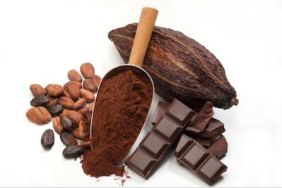 cocoa and chocolate on white background